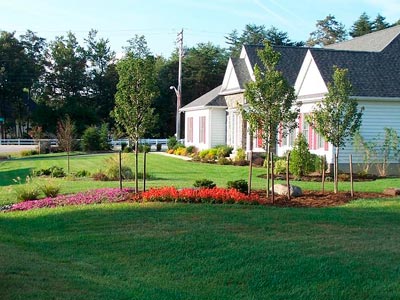 Landscaping Services, Annapolis, MD